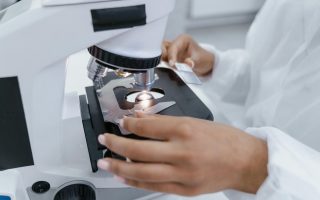 DNA tests